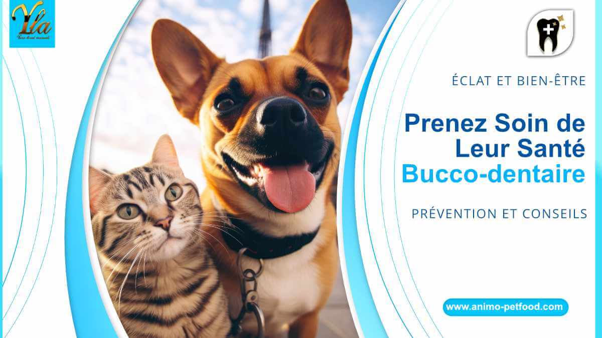 sante-bucco-dentaire-chiens-et-chats-prevention-conseils